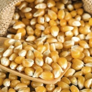 Corn