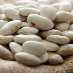Lima Beans
